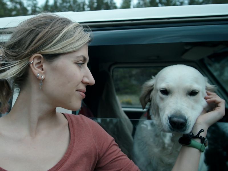 pas sedi u autu i vlasnica ga mazi