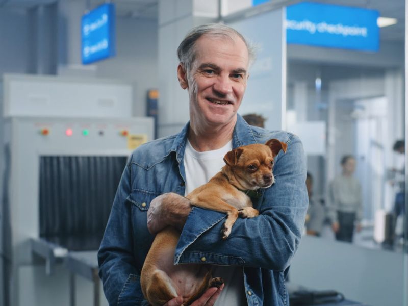 pas sa vlasnikom na aerodromu