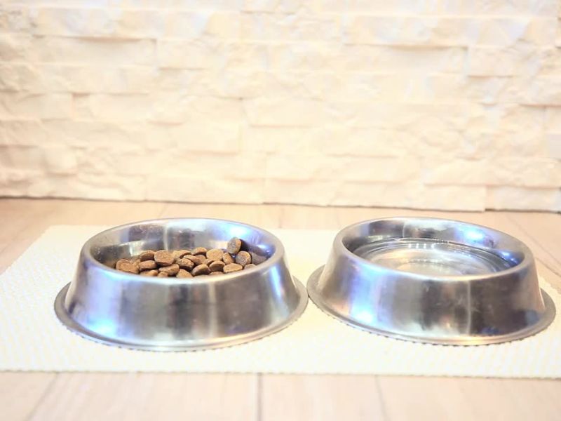 Dve činije za pse sive boje, jedna je puna vodom a druga granulama.