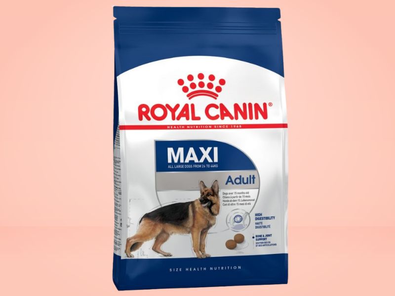 Royal Canin Maxi Adult hrana za pse na roze pozadini